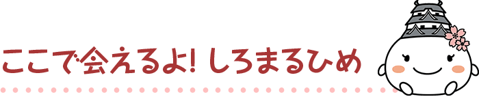 ここで会えるよ！しろまるひめ